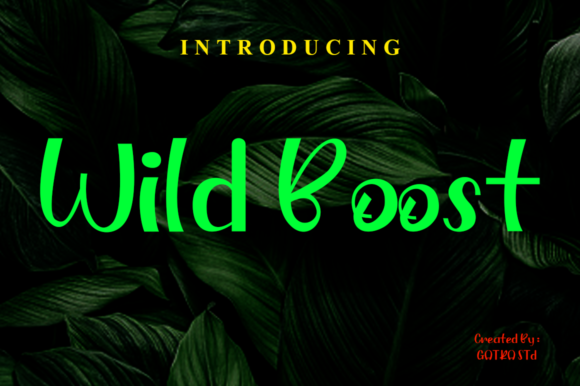 Wild Boost: A Playful Display Font for Real Small Business Branding